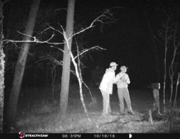 Best Trail Cameras for Security – Buying Guide and Reviews