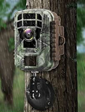 weatherproof trail camera