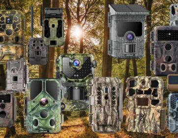 Find Your Perfect Trail Camera Tool