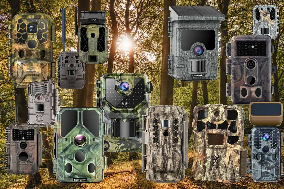 Find Your Perfect Trail Camera