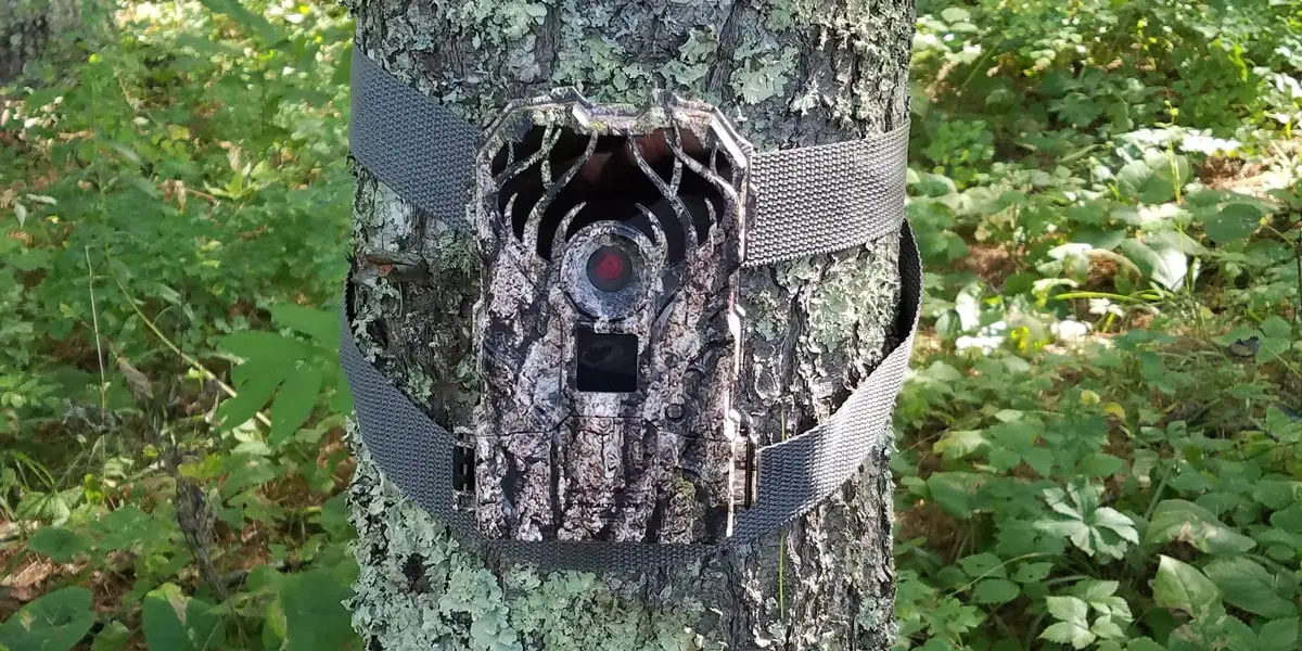 Trail Camera in the Woods