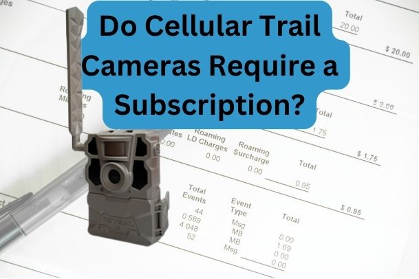 Do Cellular Trail Cameras Require a Subscription?