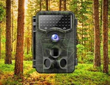 Vikeri 4K Trail Camera Review