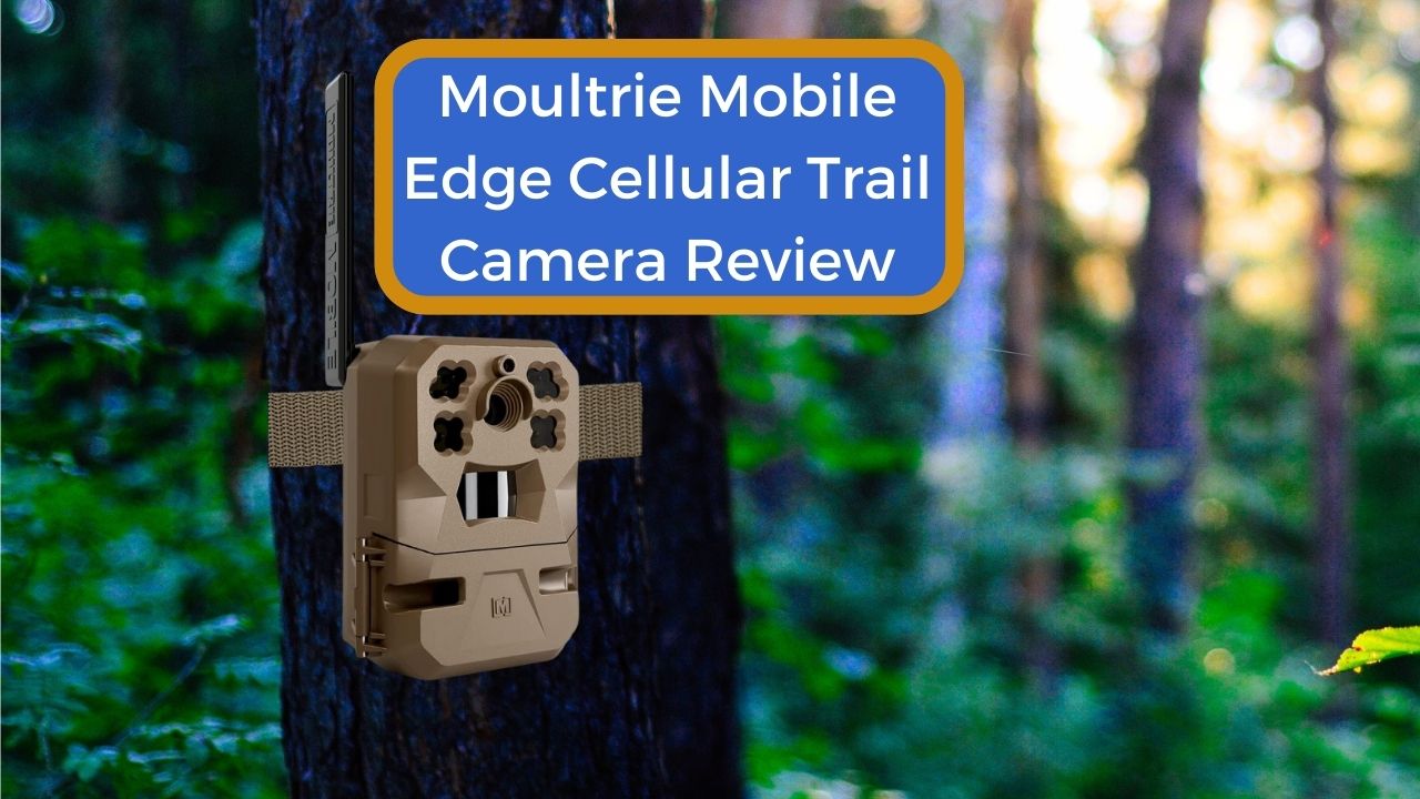 Moultrie Mobile Edge Cellular Trail Camera Review