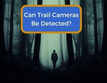 Can Trail Cameras Be Detected?