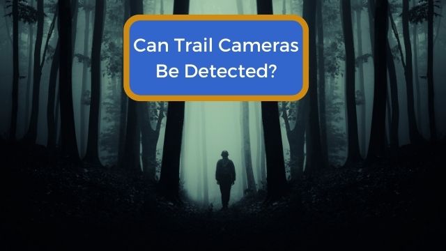Can Trail Cameras Be Detected?